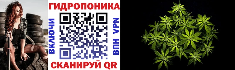 Купить закладку Онега кракен ссылки  Меф  Галлюциногенные грибы  Cocaine  СОЛЬ 