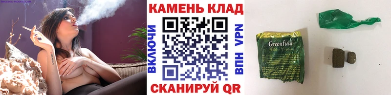 ГАШ гарик  Онега 