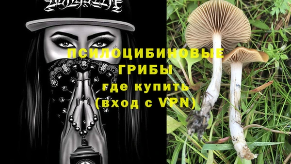крисы Белокуриха