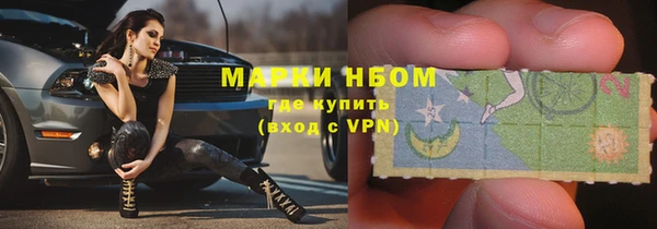 сатива Белоозёрский