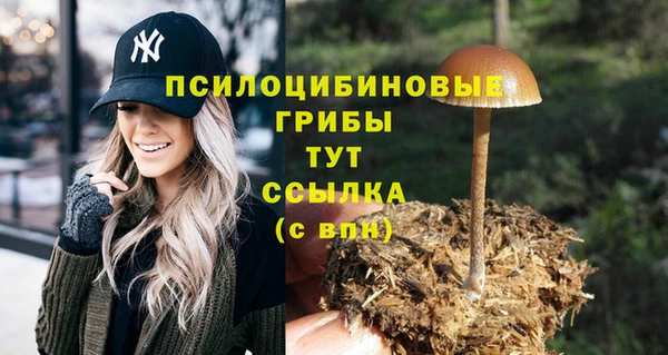 сатива Белоозёрский