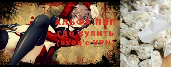 сатива Белоозёрский