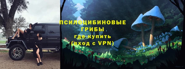 крисы Белокуриха