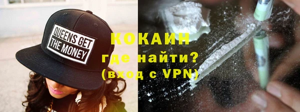 прущие грибы Богданович