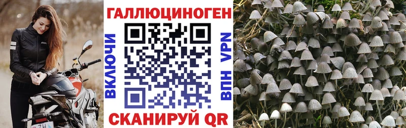 Галлюциногенные грибы мухоморы  даркнет наркотические препараты  Онега 